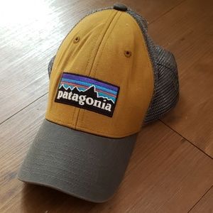 Patagonia trucker hat